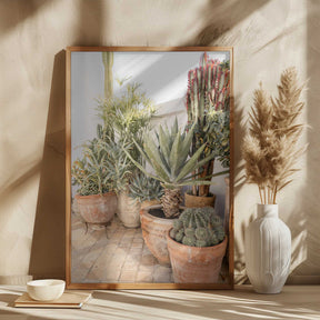 Garden with Various Potted Succulents and Cacti Poster