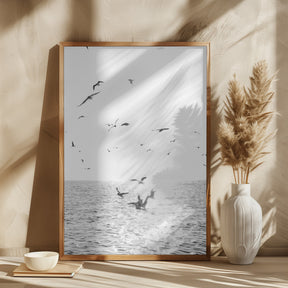 Seagulls At Sea Poster