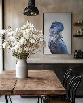 Black Cockatoo Poster