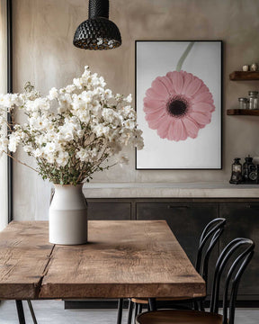 Pink Gerbera II Poster