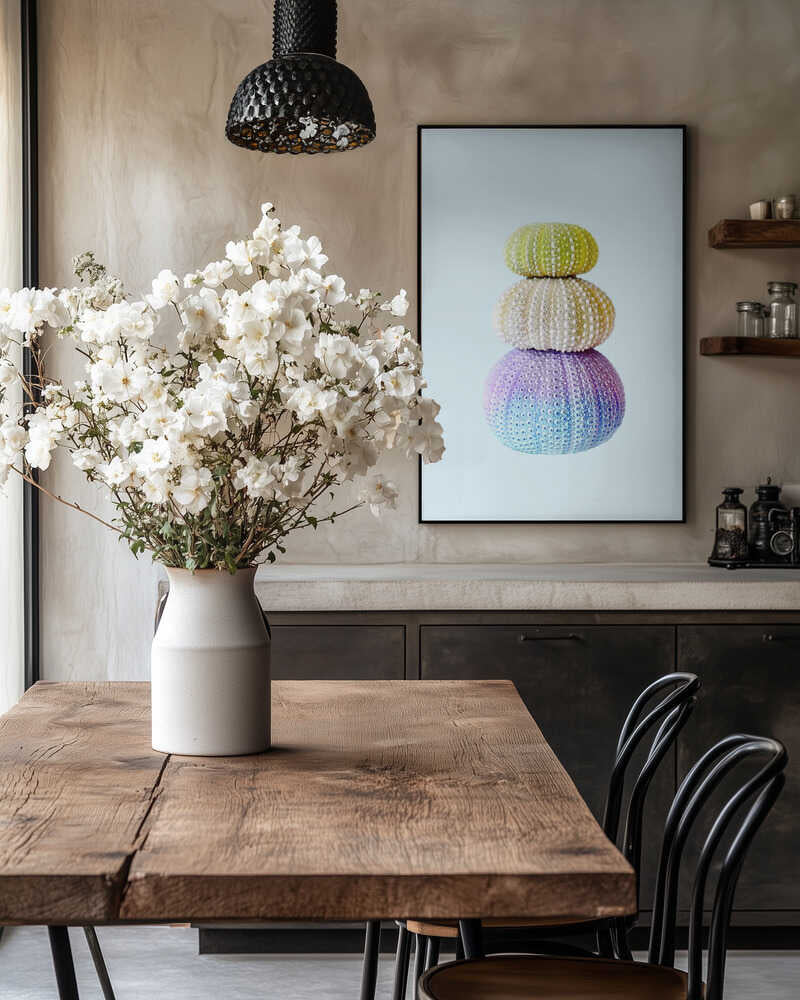 Sea Urchins Poster