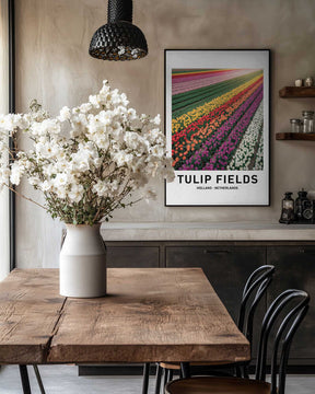 Tulip Fields Poster