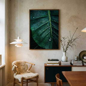 Rain Kissed Leaf Poster