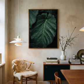 Rain Kissed Leaves Poster
