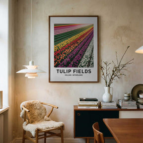 Tulip Fields Poster