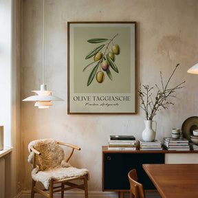 Olive Taggiasche Poster