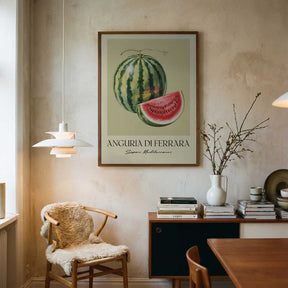 Anguria Di Ferrara Poster