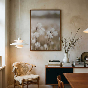 Cotton Grass - Eriophorum Poster