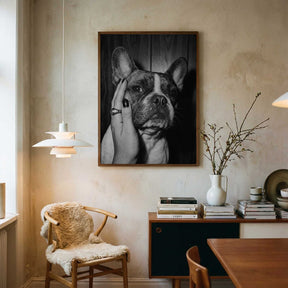 Petting a Frenchie Poster