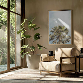 Sunlit Fronds Poster