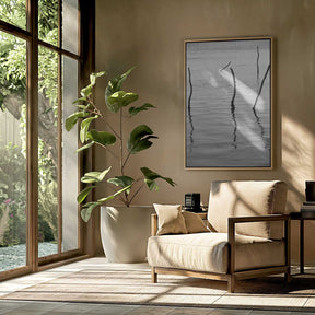 Silent Reflections Poster