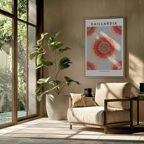 Gaillardia - National flower of Belgium Poster