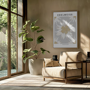 Edelweiss - National flower of Switzerland Poster