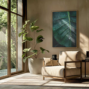 Rain Kissed Leaf Poster
