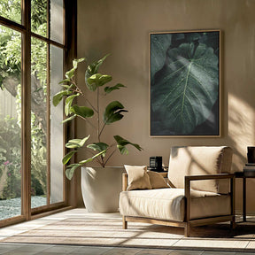 Rain Kissed Leaves Poster