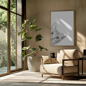 Curious Cat Poster
