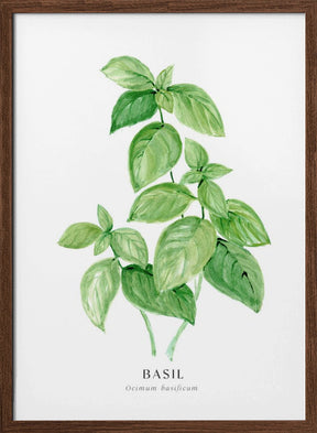 Basil I Poster