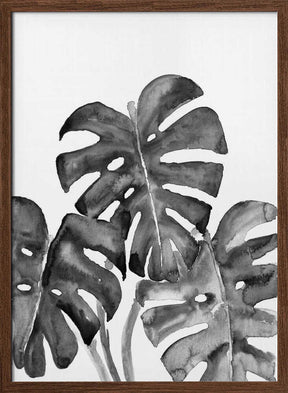 Monstera leaves in loose watercolor bw Poster