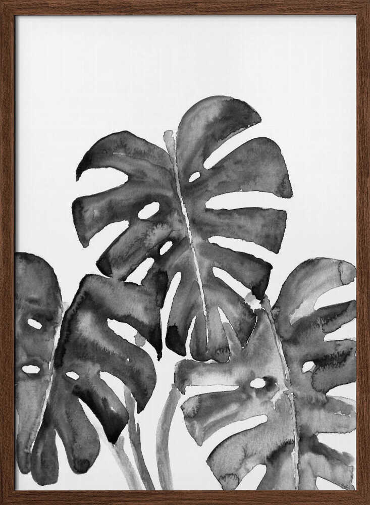 Monstera leaves in loose watercolor bw Poster