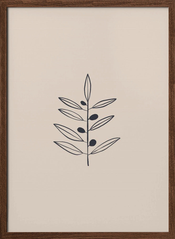 Olive Branche Poster