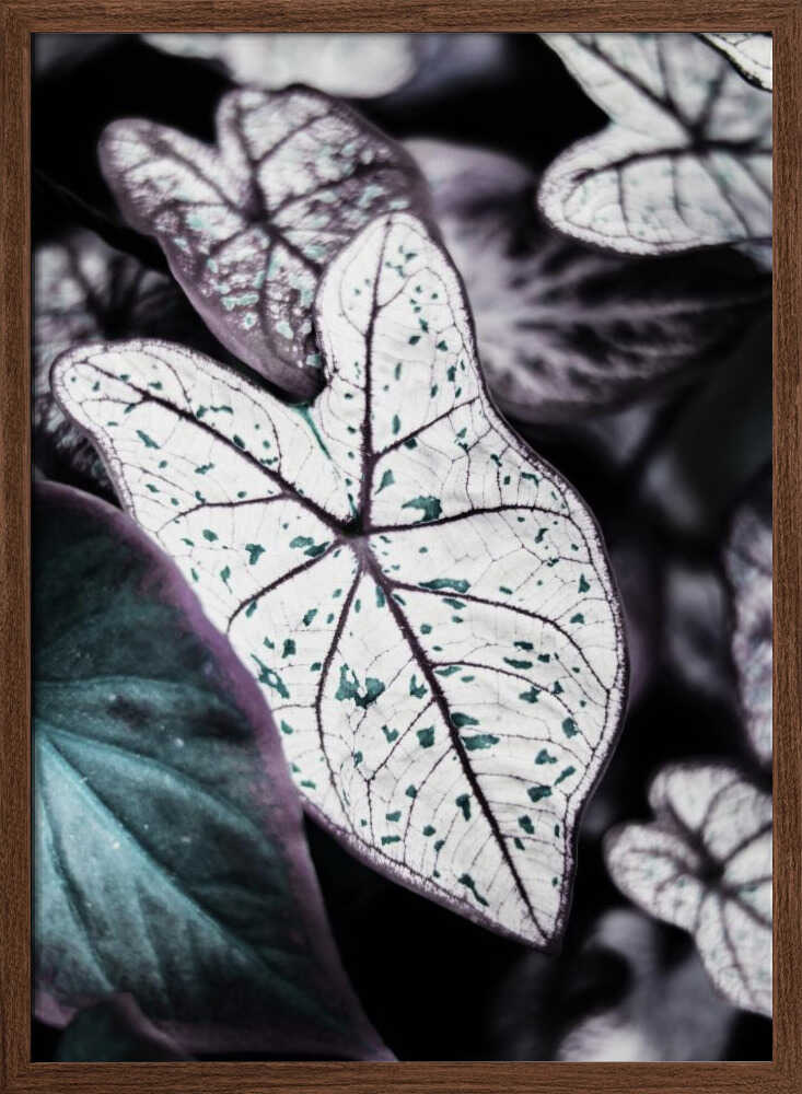 Whispers of Leaves Poster