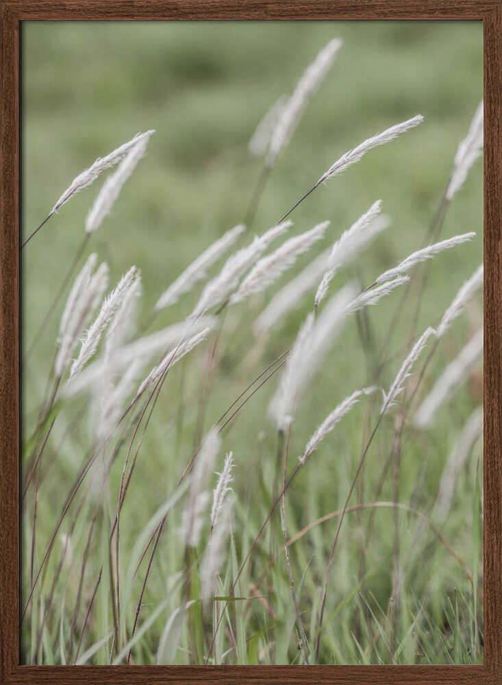 Whispering Meadows Poster