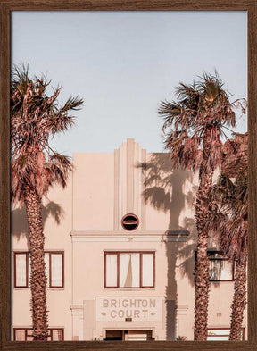 Palm Shadows Poster