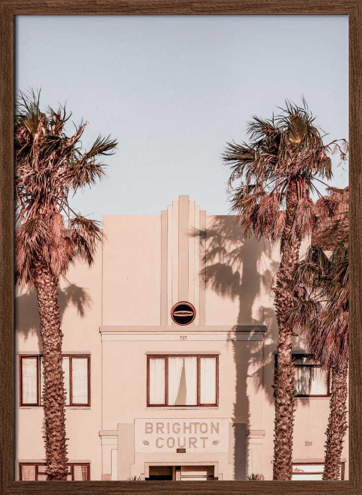 Palm Shadows Poster