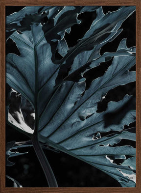 Leafy Shadowscape Poster