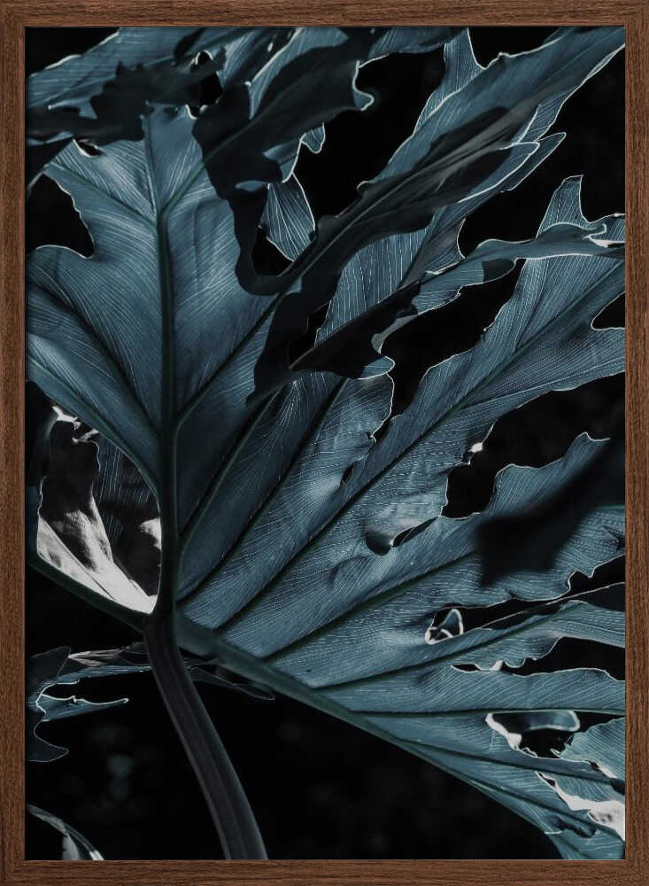 Leafy Shadowscape Poster