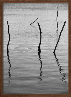 Silent Reflections Poster