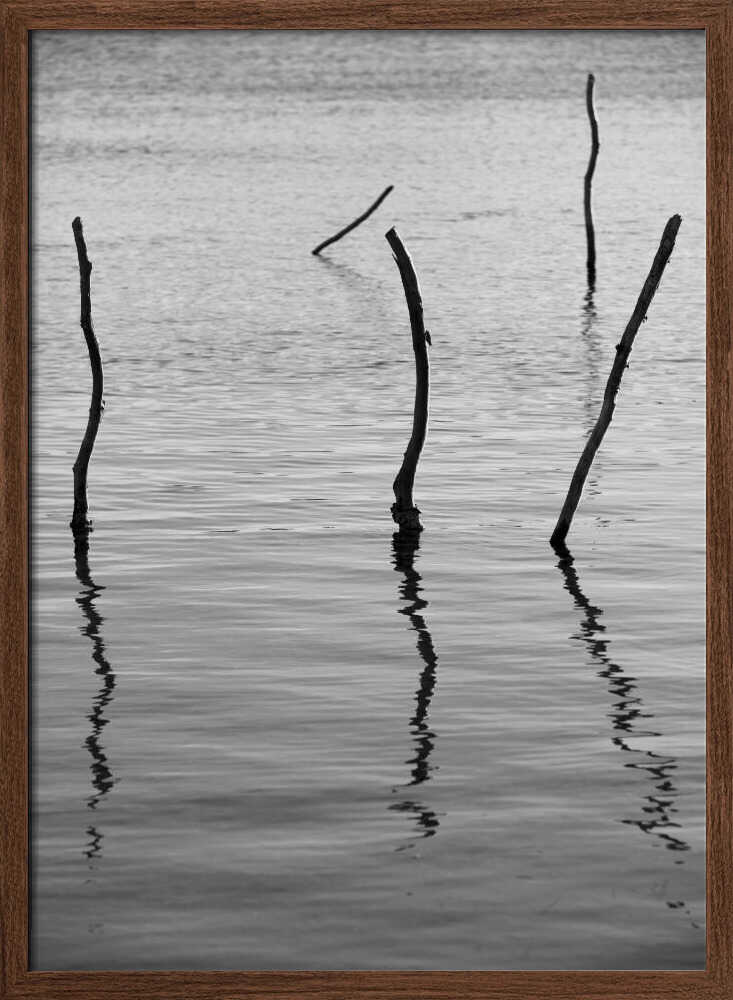 Silent Reflections Poster