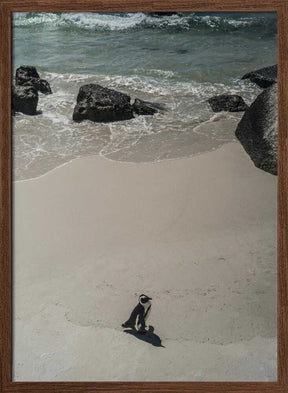 Lonely Beach Stroll Poster