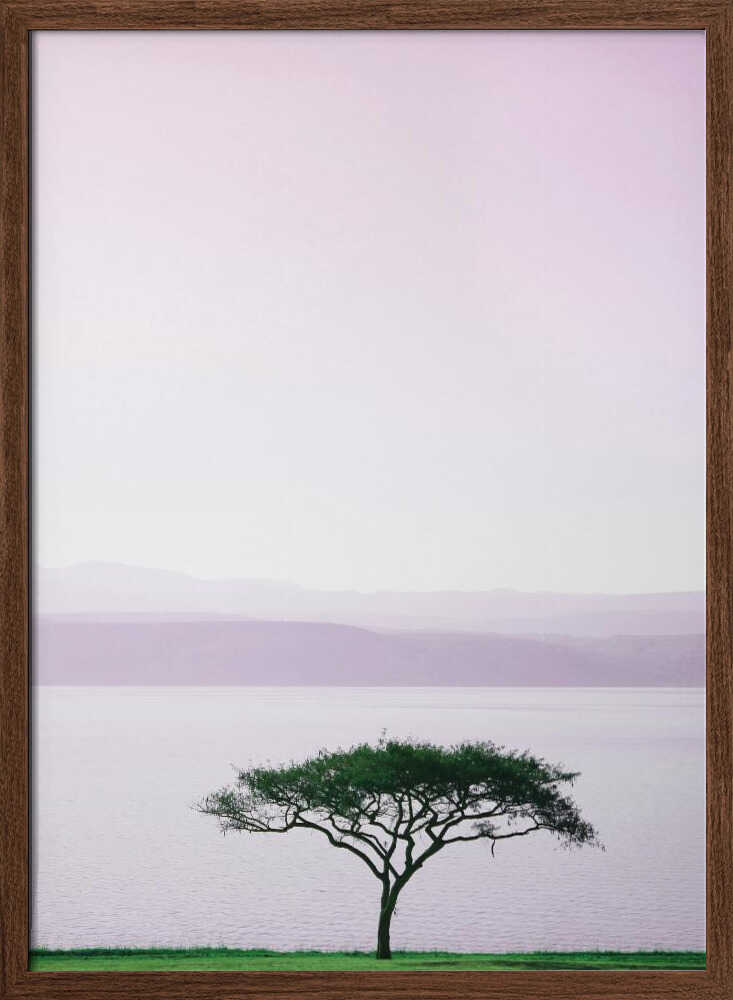 Tree By A Tranquil Lake Poster