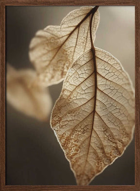 Ethereal Leaves Poster