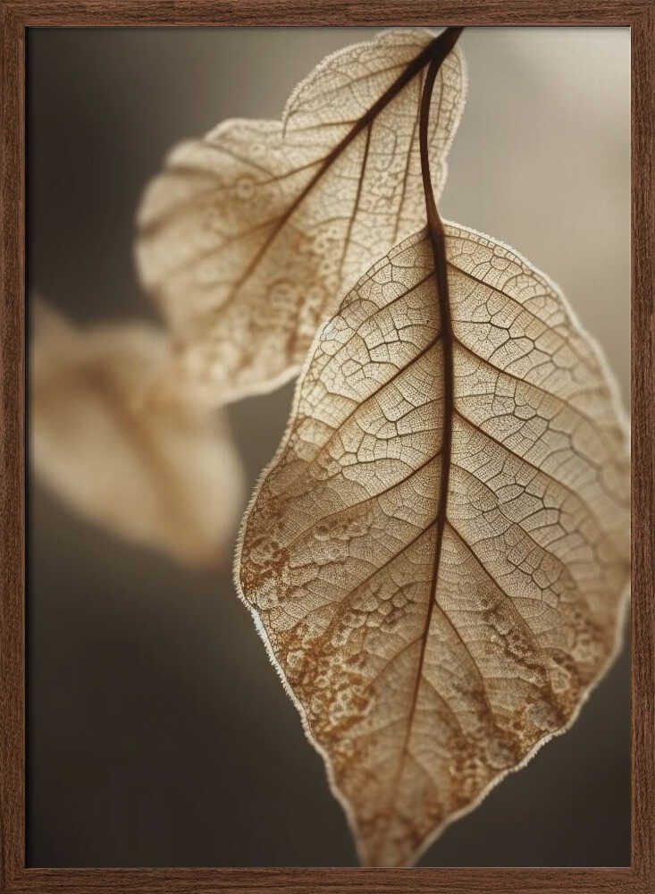 Ethereal Leaves Poster