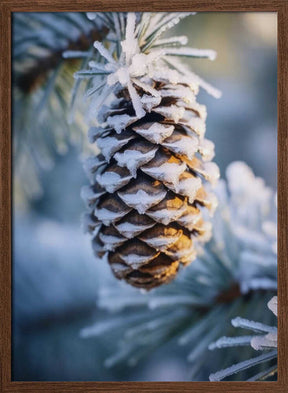 Frosty Pinecone Burst Poster
