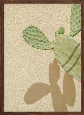 Cacti Shadowplay Poster
