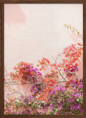 Pink Summer Poster
