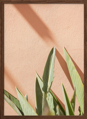 Botanical Pastels Poster