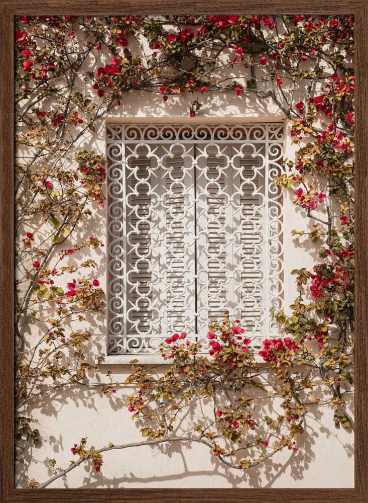 The Red Frame Poster