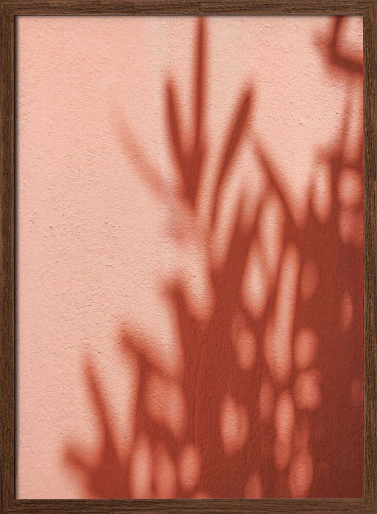 Shadows Poster