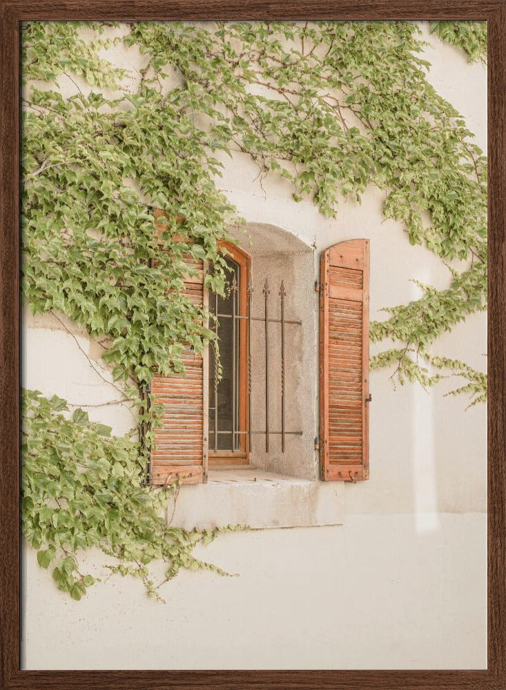 French Shutters Poster