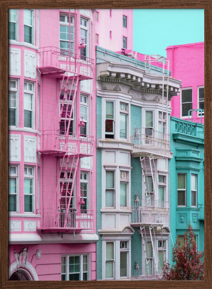 Pink and Blue Row Houses in San Francisco