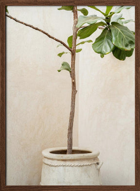 Tree In a Pot Poster