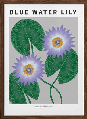 Blue Water Lily - National flower of Sri Lanka Poster