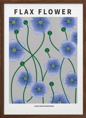 Flax flower - National flower of Ireland Poster