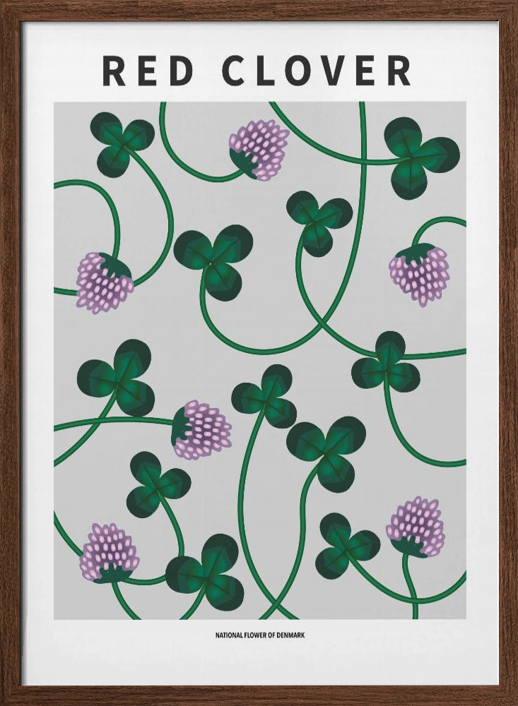 Red Clover - National flower of Denmark Poster