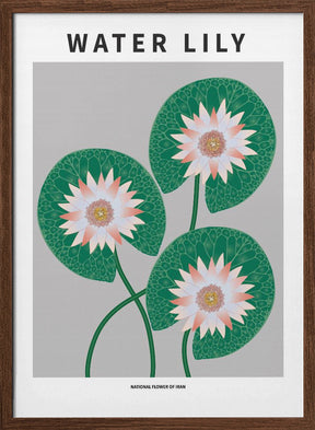 Water Lily - National flower of Iran Poster