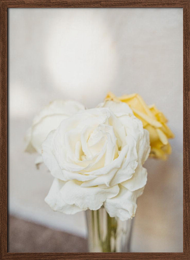 White Roses Poster